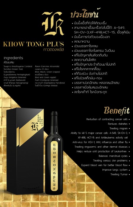 Kaowtongplus brochure page2