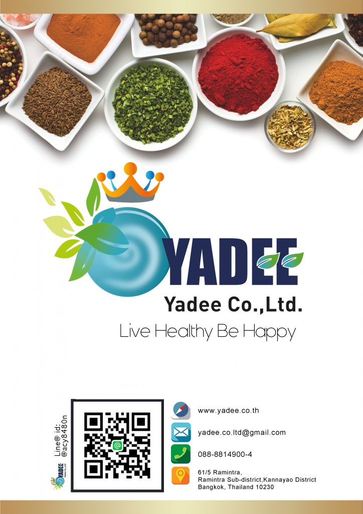 Yadee Profile 1