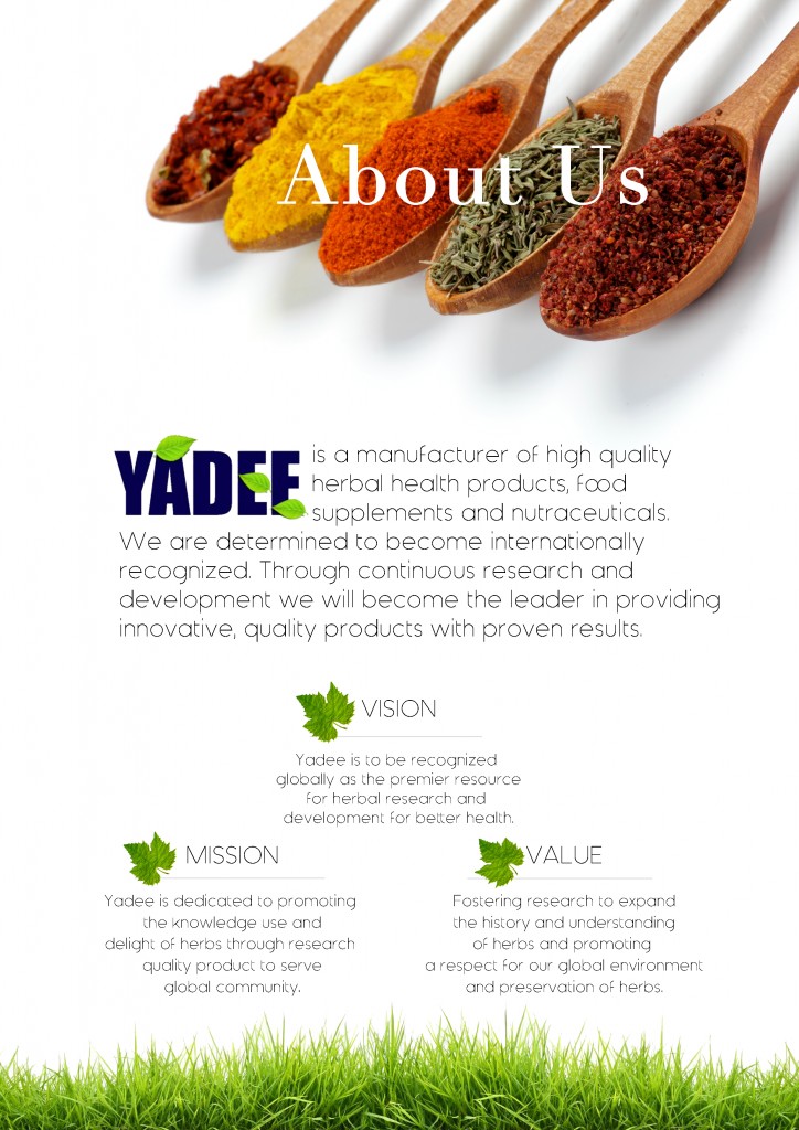 Yadee profile 2